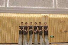 贵州杭州模特礼节兼职群(杭州兼职商务模特经纪人微信)