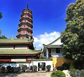 贵州广州自由行(广州 自由行)