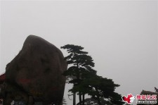 贵州上海伴游私家陪游雇用女模(上海伴游私家陪游雇用女模特)