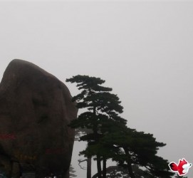 贵州上海伴游私家陪游雇用女模(上海伴游私家陪游雇用女模特)