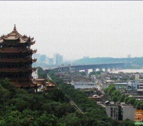 贵州武汉游玩攻略(武汉游玩攻略ppt)