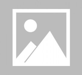 贵州新加坡伴游雇用信息(想做伴游哪里有雇用的?)