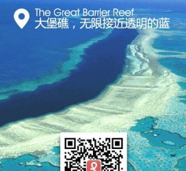 贵州中国250家旅行社结伴游新西兰(新西兰当地旅行社)