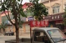 贵州上海伴游 用伴游造句大全(5
