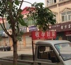 贵州上海伴游 用伴游造句大全(5