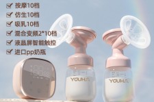 贵州奶模(奶模型)