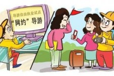贵州伴游是什么