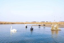 贵州南昌附近伴游小妹兼职(1534939978姐的微信德惠市)