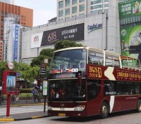 贵州上海私人伴游 上海过年怎么玩？这些“微游”线路了解下→
