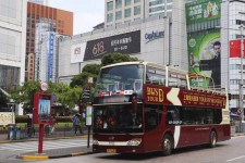 贵州上海私人伴游 上海过年怎么玩？这些“微游”线路了解下→