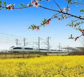 贵州高铁游(高铁游戏下载手机版)