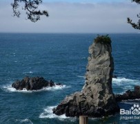 贵州旅游全攻略(上海旅游全攻略)