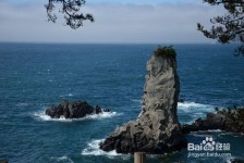 贵州旅游全攻略(上海旅游全攻略)