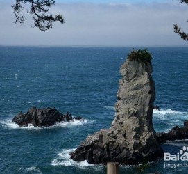 贵州旅游全攻略(上海旅游全攻略)