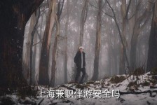 贵州上海私人伴游 上海伴游，上海兼职伴游安全吗