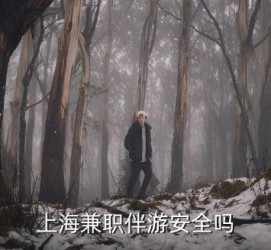 贵州上海私人伴游 上海伴游，上海兼职伴游安全吗