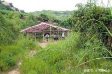 贵州北海伴游兼职雇用信息(北海伴游兼职雇用信息大全)