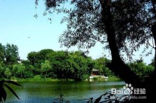 贵州西湖旅游攻略(上海到杭州西湖旅游攻略)