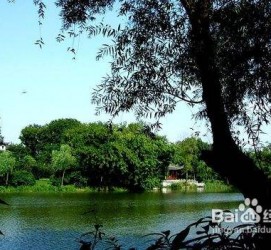 贵州西湖旅游攻略(上海到杭州西湖旅游攻略)