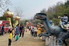 贵州中国伴游带你打卡网红南山竹海(南山竹海网上预约)