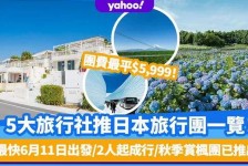 贵州旅游价格(旅游价格机制)