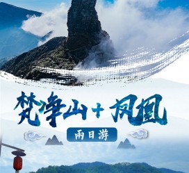 贵州两日游推荐(二日游最佳景点)