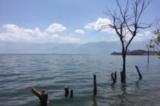 贵州洱海旅游攻略(洱海旅游攻略自由行)