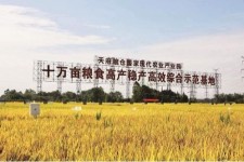 贵州关于成都商务伴游外围雇用的信息