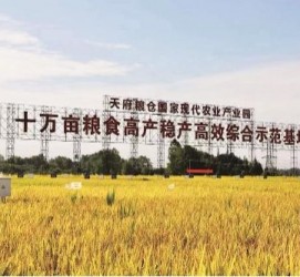 贵州关于成都商务伴游外围雇用的信息