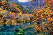 贵州四川旅游攻略(四川旅游攻略十五日游)