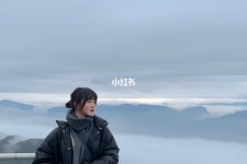 贵州四日游(朝鲜四日游)