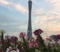 贵州广州旅游攻略(杭州到广州旅游攻略)