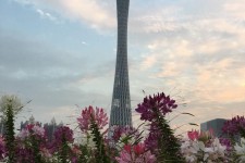 贵州广州旅游攻略(杭州到广州旅游攻略)