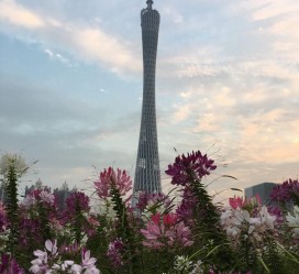 贵州广州旅游攻略(杭州到广州旅游攻略)
