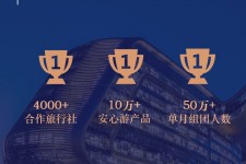 贵州上海私人伴游 ​ “小而美”的新时代：2020年国内新跟团消费报告