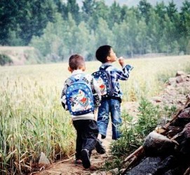 贵州河南一家四口结伴游中国2个月(河南适合一家四口旅游的地方)