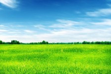 贵州上海伴游 上海模特伴游微信号的交友宣言