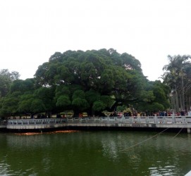 贵州福州旅游攻略(福州旅游攻略二日游)