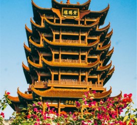 贵州武汉游玩攻略(武汉游玩攻略路线)