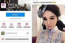 贵州上海伴游 女学生伴游内幕曝光:白天陪玩晚上陪睡细节惊人！